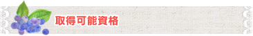 取得可能資格