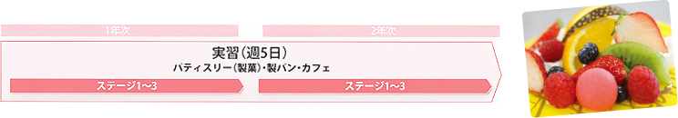 実習（週５日） 1年次ステージ１～３ ＞ 2年次ステージ １～３