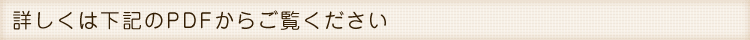 詳しくは下記のPDFからご覧ください